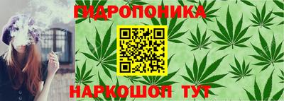 крисы Сланцы